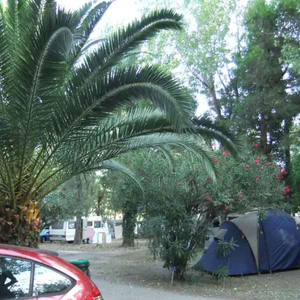 camping-le-stade-argeles-sur-mer-moojy