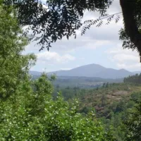 Quinta da Cerca