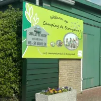 camping-de-boomgaard-westkapelle-qvs10