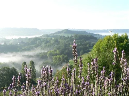 hermitage-rochas-couchaud-st-robert-jcayw