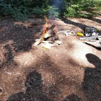 Natuurkampeerterrein De Marsbelte