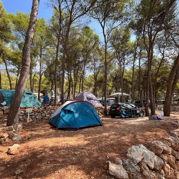 camp-lili-jagodnasveta-nedjelja-7ubmw