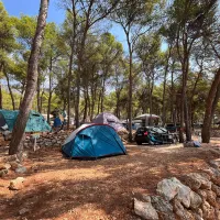 camp-lili-jagodnasveta-nedjelja-7ubmw