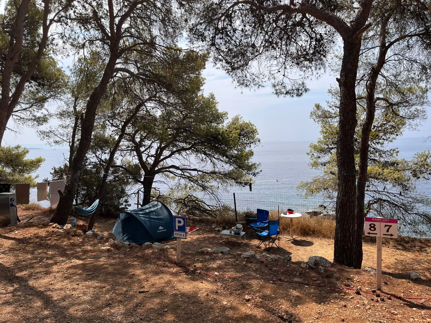 camp-lili-jagodnasveta-nedjelja-9n5qe