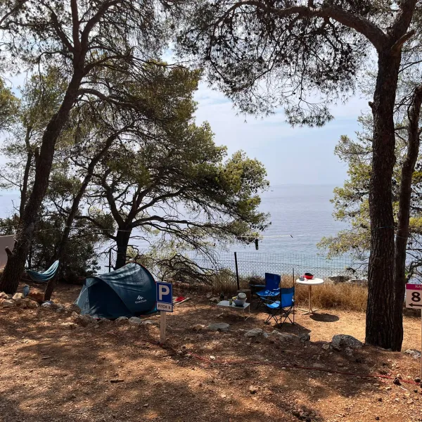 camp-lili-jagodnasveta-nedjelja-9n5qe