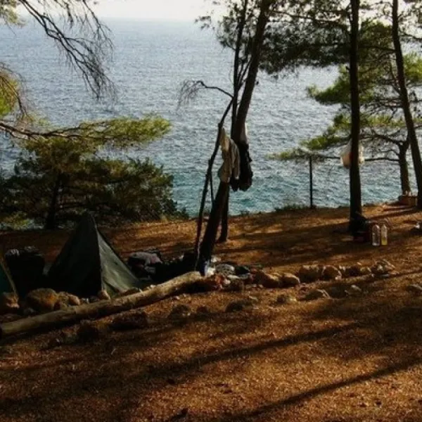 camp-lili-jagodnasveta-nedjelja-d8p0t