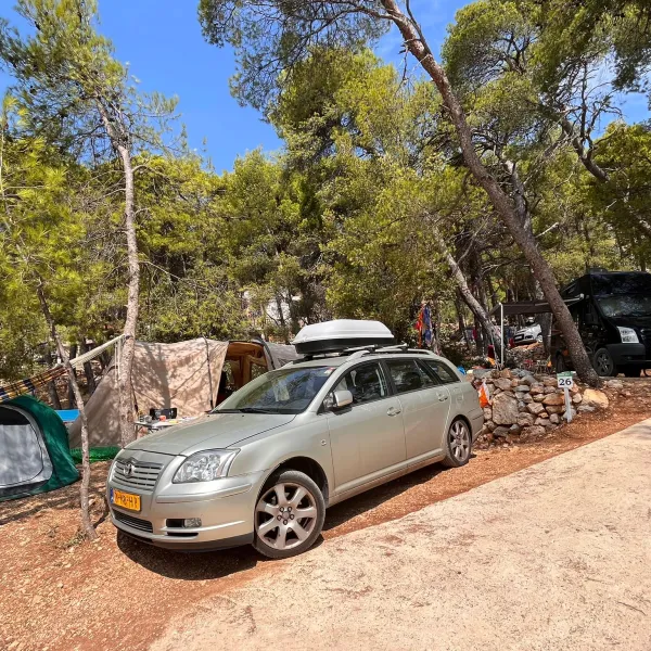 camp-lili-jagodnasveta-nedjelja-dqq42