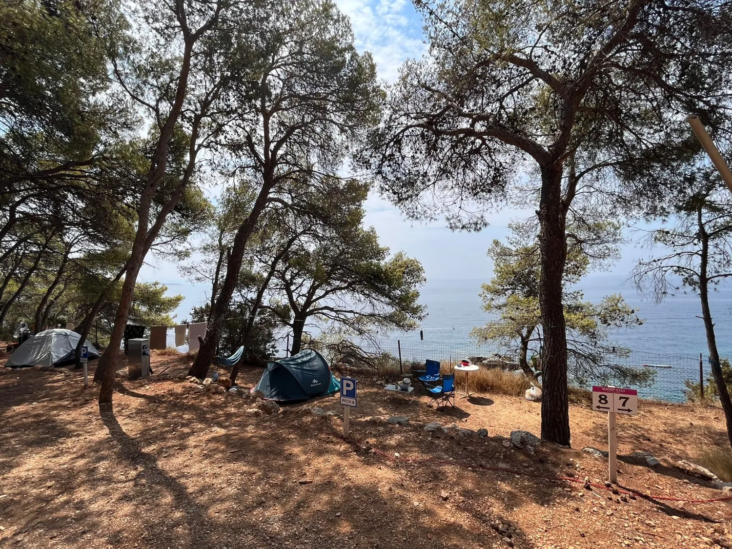 camp-lili-jagodnasveta-nedjelja-haxjf