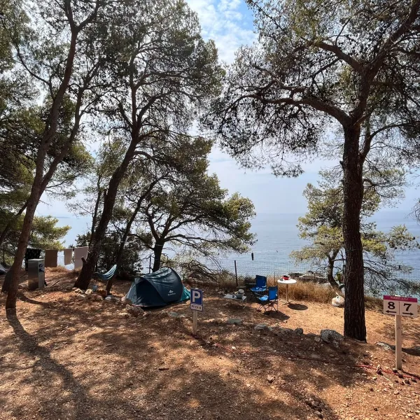 camp-lili-jagodnasveta-nedjelja-haxjf