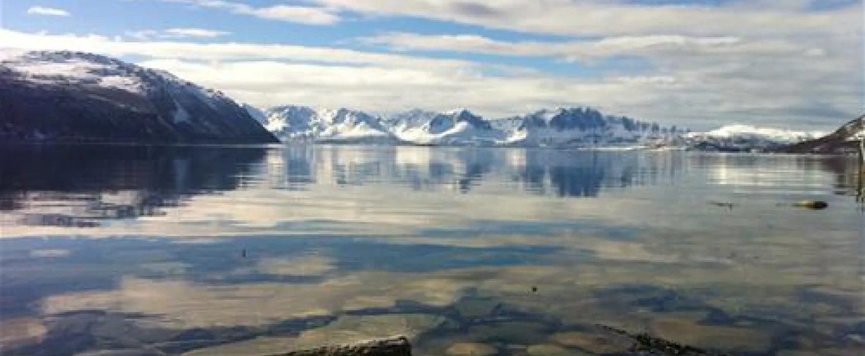 Arctic FjordCamp