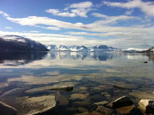 arctic-fjordcamp-troms-rp0f5