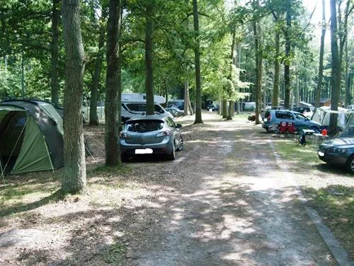 camping-und-ferienpark-markgrafenheide-rostockmarkgrafenheide-bip84