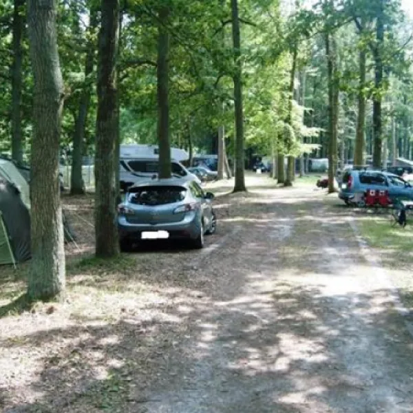 camping-und-ferienpark-markgrafenheide-rostockmarkgrafenheide-bip84