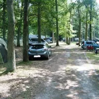 camping-und-ferienpark-markgrafenheide-rostockmarkgrafenheide-bip84