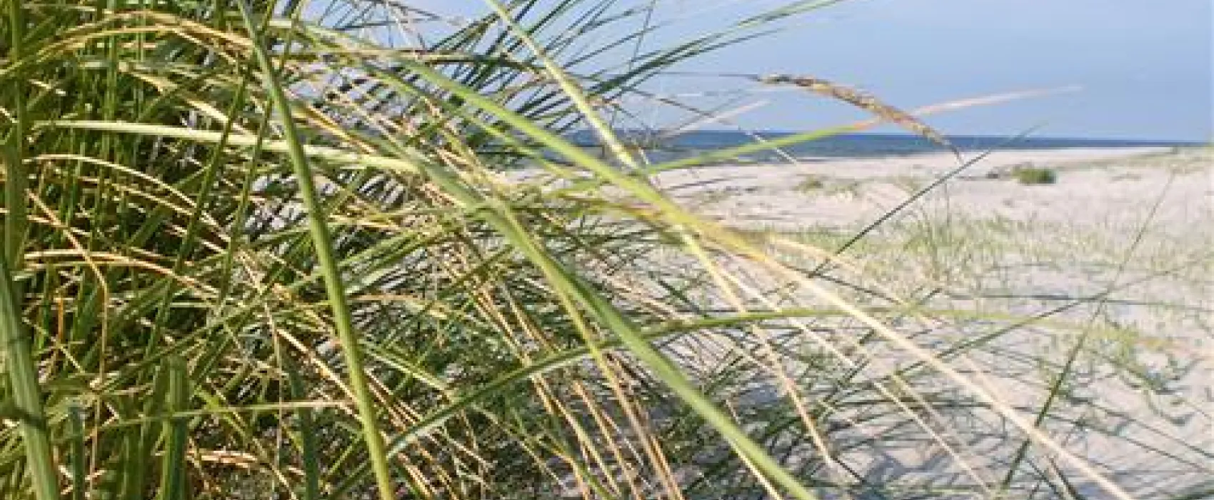 Camping- und Ferienpark Markgrafenheide