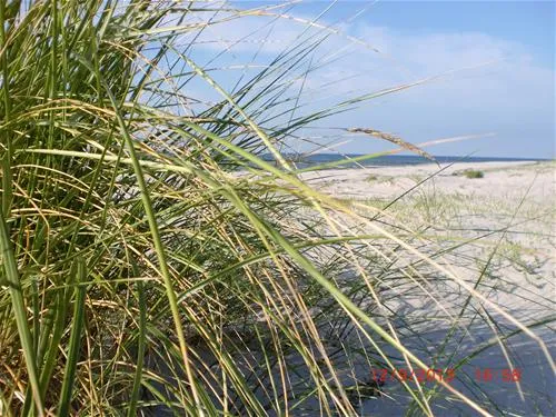 camping-und-ferienpark-markgrafenheide-rostockmarkgrafenheide-g7eu3
