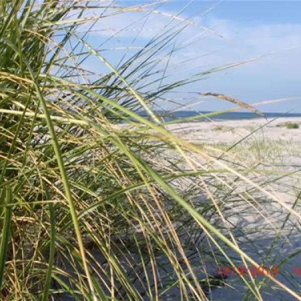 camping-und-ferienpark-markgrafenheide-rostockmarkgrafenheide-g7eu3