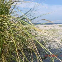 camping-und-ferienpark-markgrafenheide-rostockmarkgrafenheide-g7eu3