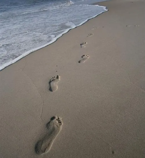 egense-strand-camping-storvorde-fkbkm
