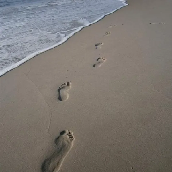egense-strand-camping-storvorde-fkbkm