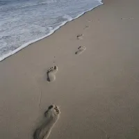 egense-strand-camping-storvorde-fkbkm