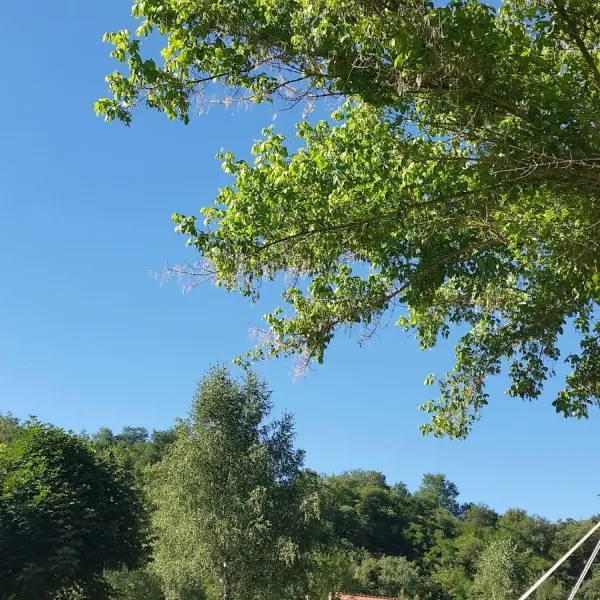 camping-municipal-la-bessiere-blesle-ghqrj