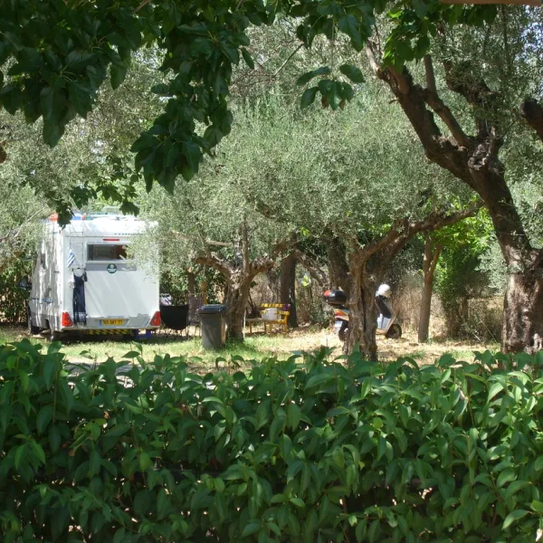 campsite-castle-view-mistras-5pkpr