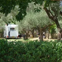 campsite-castle-view-mistras-5pkpr