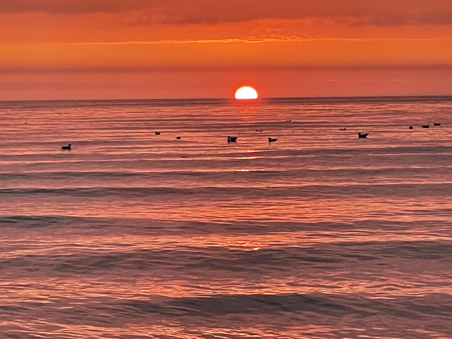 north-beach-caravan-camping-park-rush-08y4k