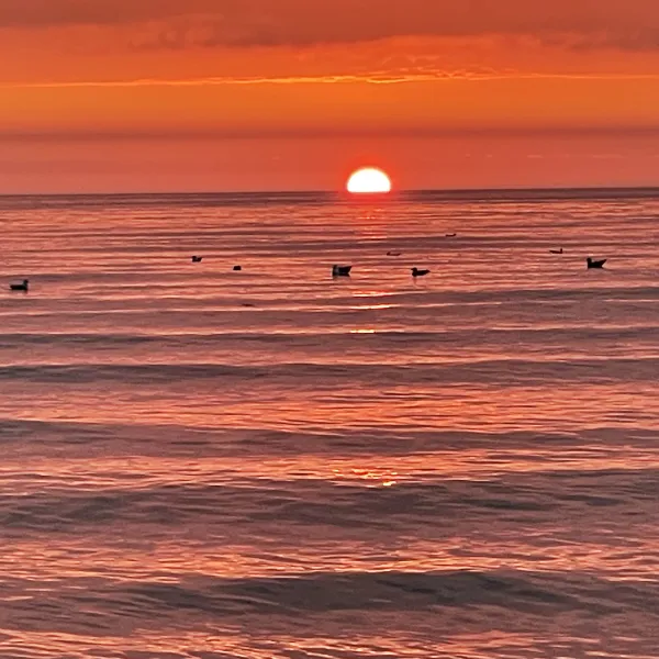north-beach-caravan-camping-park-rush-08y4k