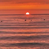 north-beach-caravan-camping-park-rush-08y4k