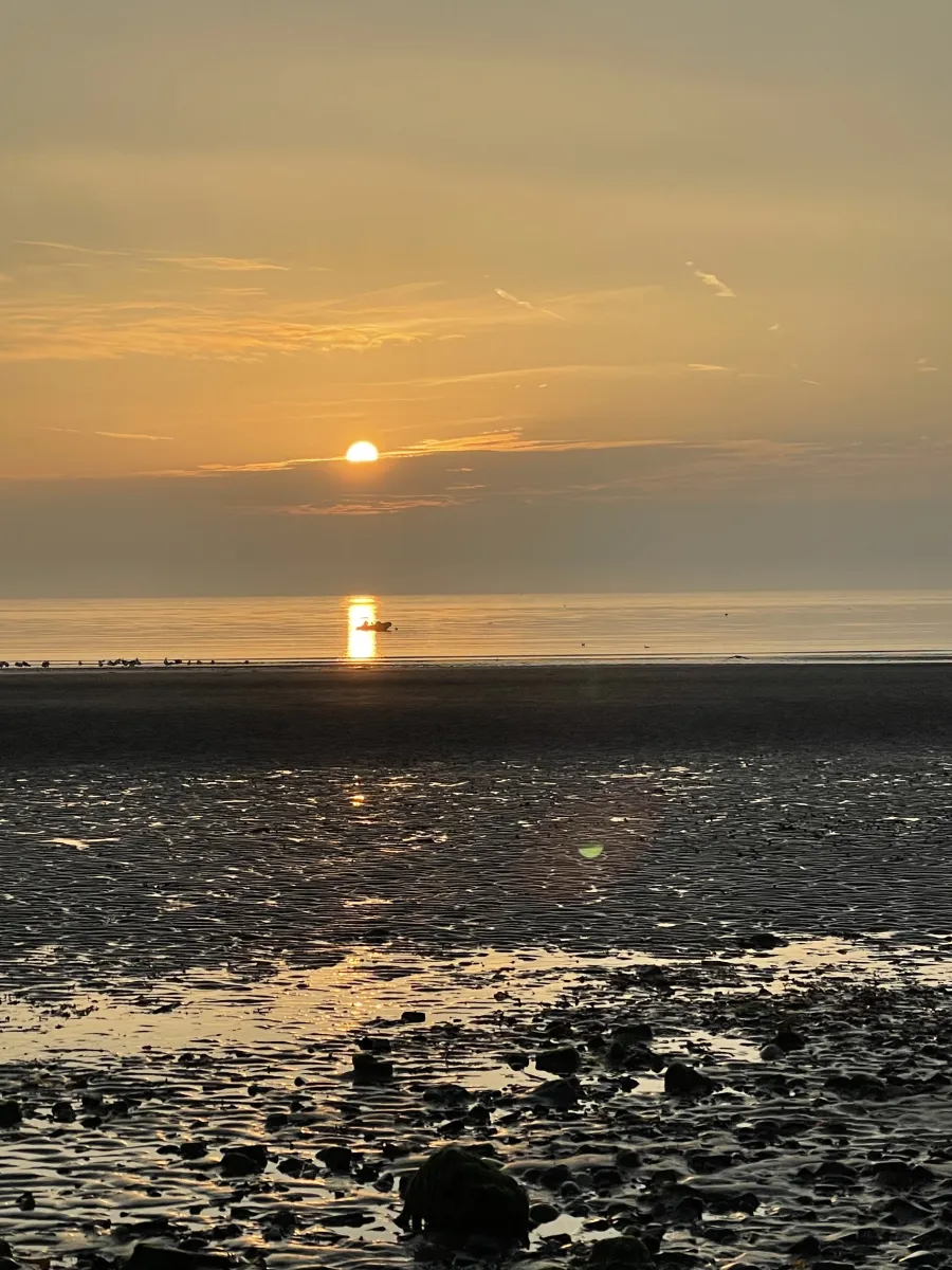 north-beach-caravan-camping-park-rush-fnlci