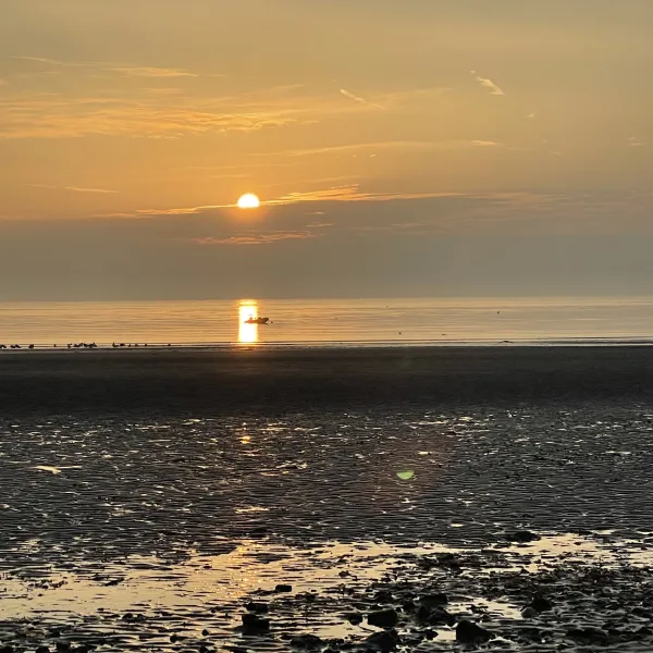 north-beach-caravan-camping-park-rush-fnlci