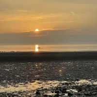 north-beach-caravan-camping-park-rush-fnlci