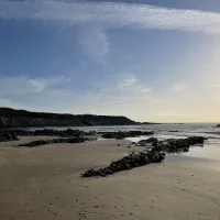 north-beach-caravan-camping-park-rush-qhbqm
