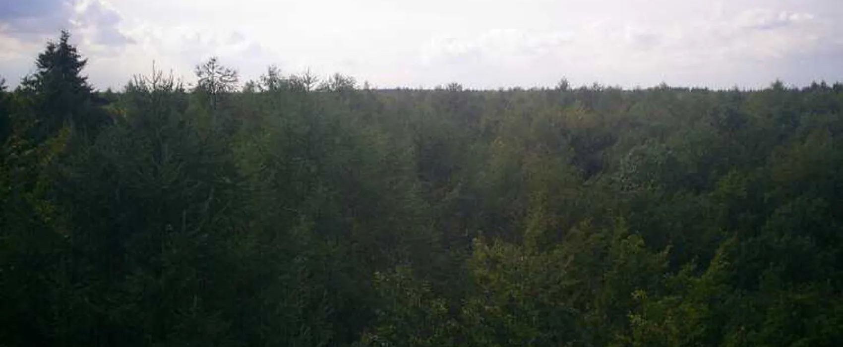 Camping De Weyert