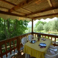 campeggio-villaggio-san-giusto-capraia-e-limite-hcxoz