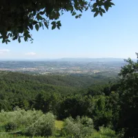 campeggio-villaggio-san-giusto-capraia-e-limite-o6fxi