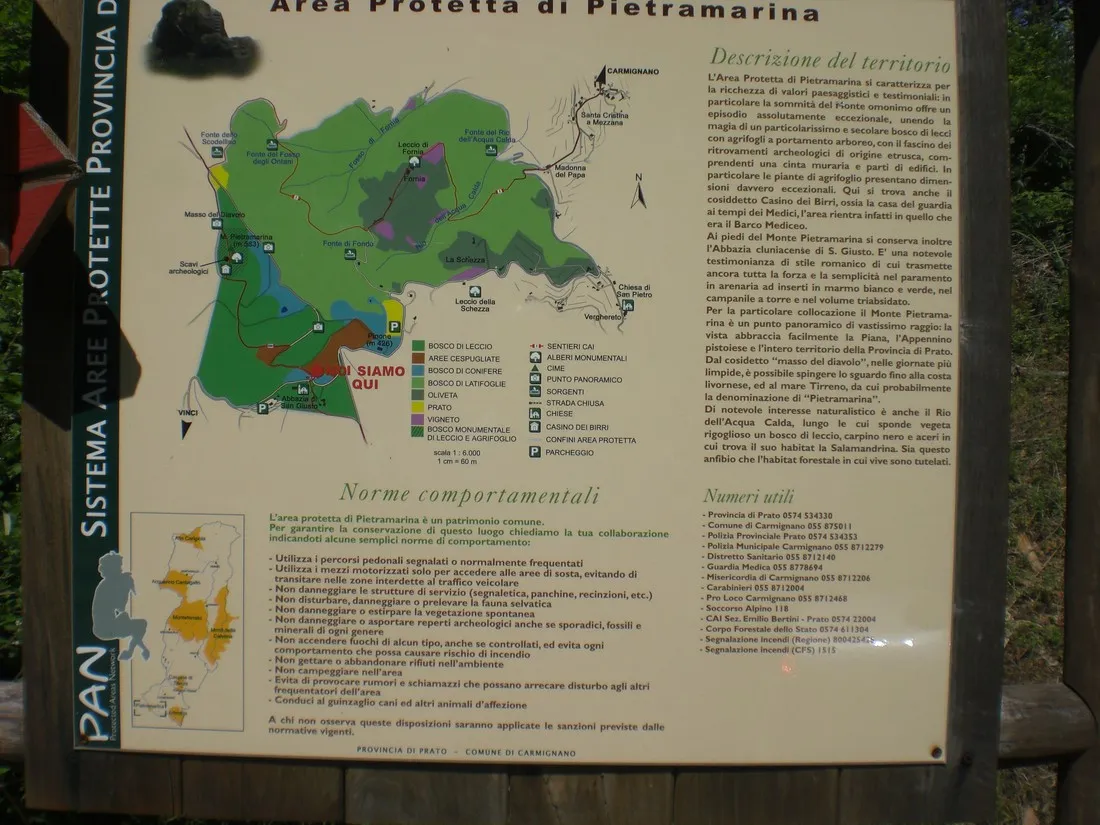 campeggio-villaggio-san-giusto-capraia-e-limite-plnvh