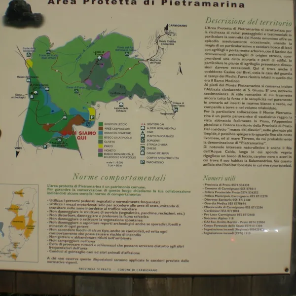 campeggio-villaggio-san-giusto-capraia-e-limite-plnvh