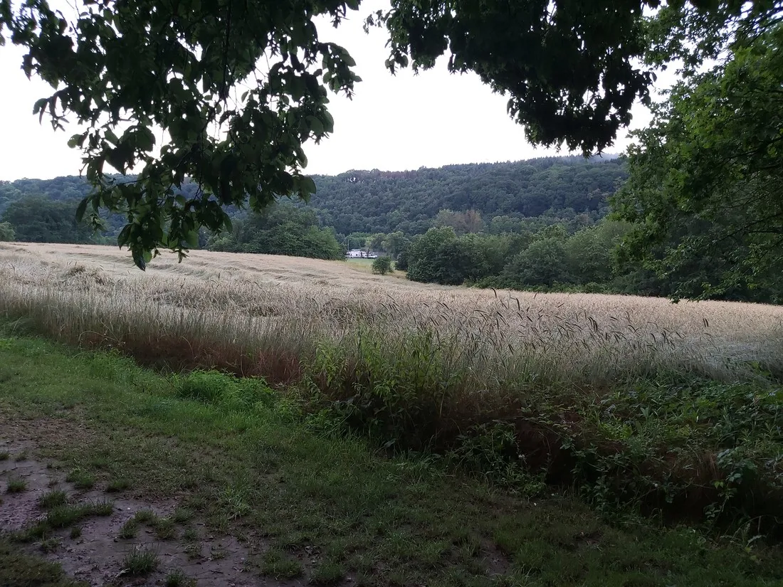 camping-mainspessartpark-triefensteinlengfurt-kd9oc