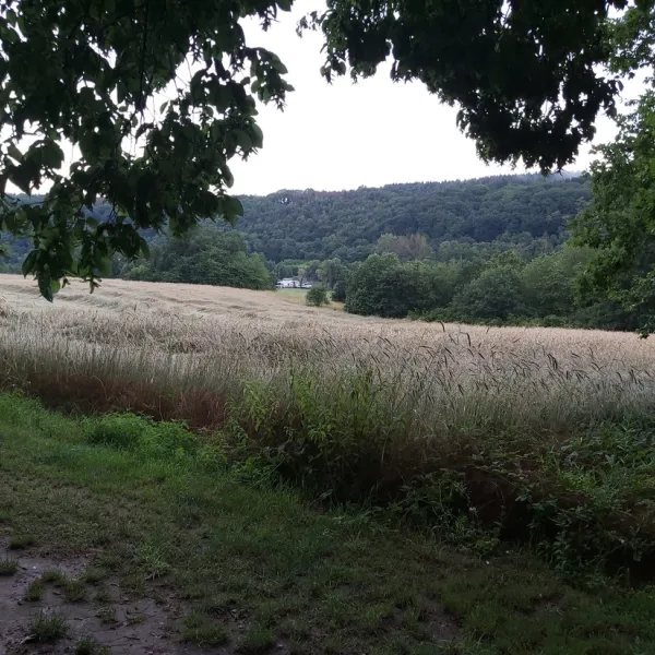 camping-mainspessartpark-triefensteinlengfurt-kd9oc