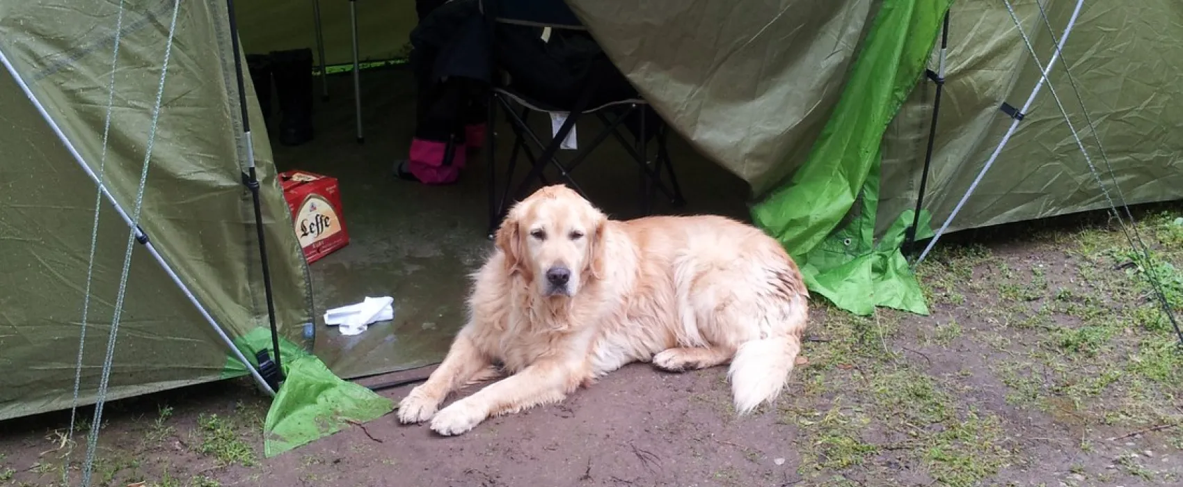 Camping le Rancho  