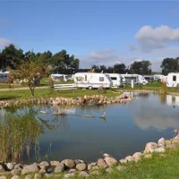 camping-und-wohnmobilpark-kamerun-heilbad-waren-mritz-9za8y