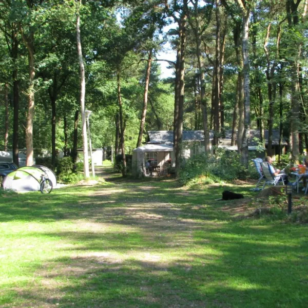 camping-klein-zwitserland-zuidwolde-dr-iwpj1