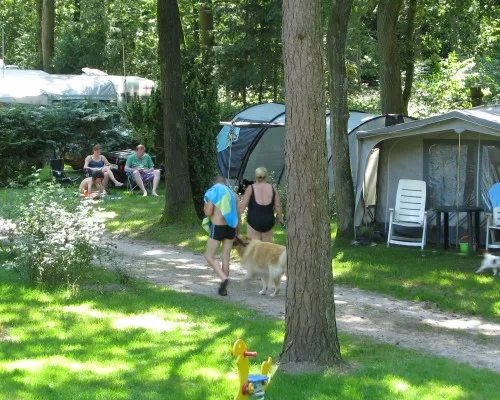 camping-klein-zwitserland-zuidwolde-dr-y8aq2