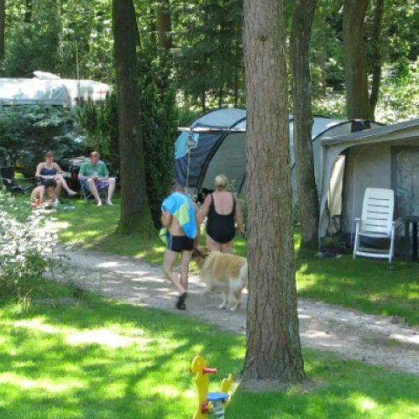 camping-klein-zwitserland-zuidwolde-dr-y8aq2