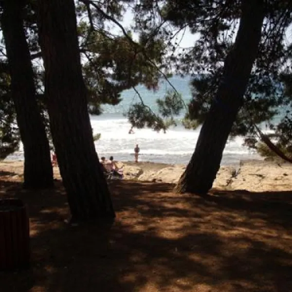 campingin-pineta-umag-savudrija-0pinv