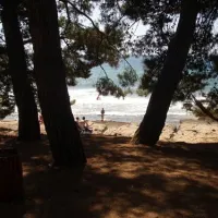 campingin-pineta-umag-savudrija-0pinv