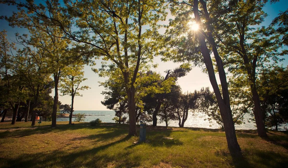 campingin-pineta-umag-savudrija-3uaqn